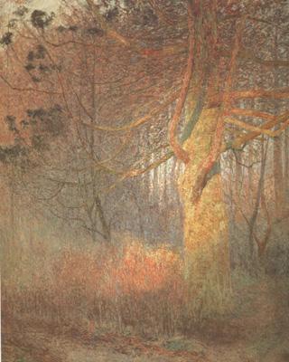 Emile Claus Tree in the Sun (nn02) oil painting image